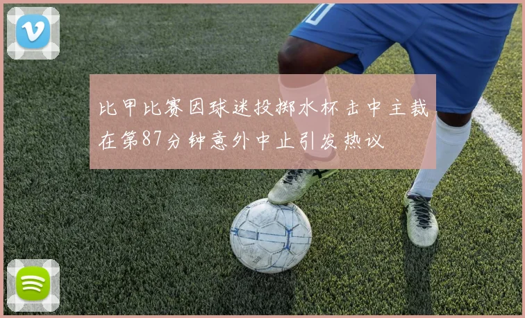 比甲比赛因球迷投掷水杯击中主裁在第87分钟意外中止引发热议